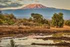 Kilimanjaro in morning-Amboseli National Park-Africa Art Print